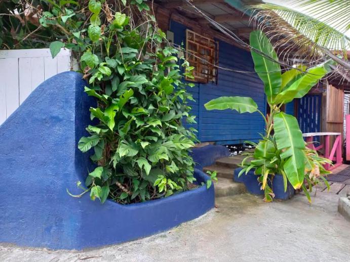 Вилла Casa Elba Sobre El Mar Бокас-дель-Торо Экстерьер фото