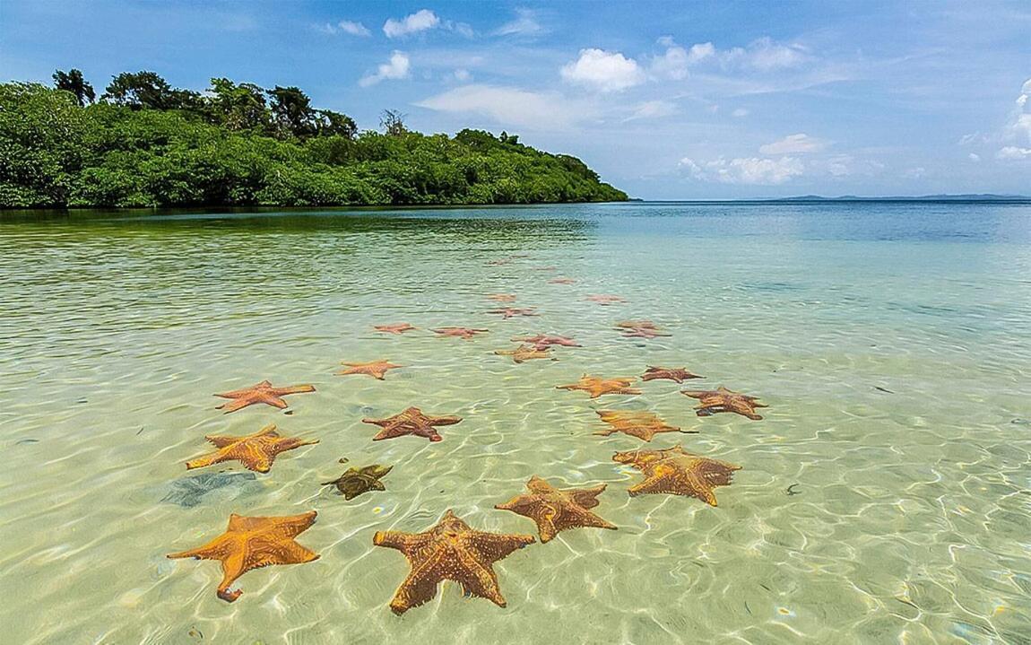Вилла Casa Elba Sobre El Mar Бокас-дель-Торо Экстерьер фото